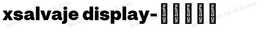 xsalvaje display字体转换